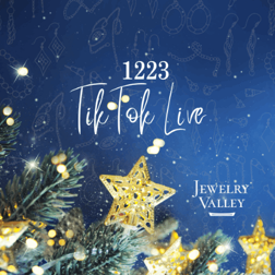 2024/12/23TikTok Live＿りり様