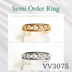 【セミオーダー加工】VV3075加工