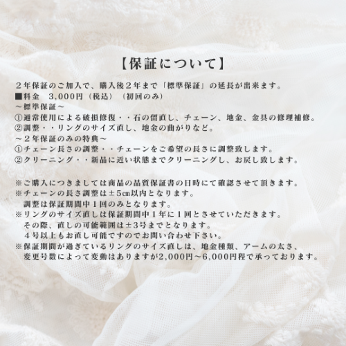 PT950  ڥȥͥå쥹