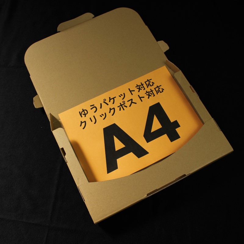 �椦�ѥ��å��б� Ȣ ����å��ݥ��� 3cm A4 (330��230��28) 10��