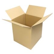 ����ܡ���Ȣ 100������(Ω����) 10�� (305��305��311)