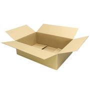 ����ܡ���Ȣ 100������(����ȯ����) 10�� (494��342��153)