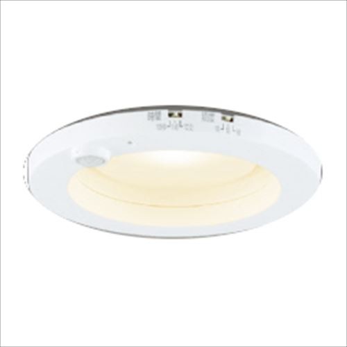 (手配品) LEDダウンライト(ランプ別売) LEDD85031Y 東芝ライテック