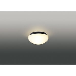 (手配品) LEDアウトドアシーリングランプ別売 LEDG88930(K) 東芝ライテック (LEDG88930K)