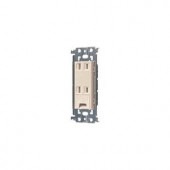 (手配品) アドバンスS埋込アースタミナル付ダブル WTL1532F パナソニック|Panasonic|メーカー別