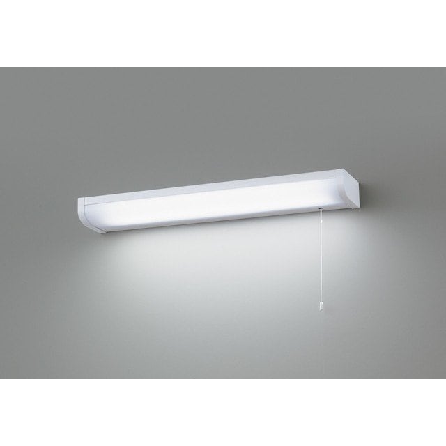 (手配品) LED流し元灯(ランプ別売 LEDB83126 東芝ライテック