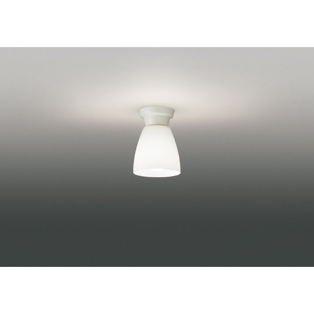 (手配品) LED小形シーリングライトランプ別売 LEDG88030 東芝ライテック