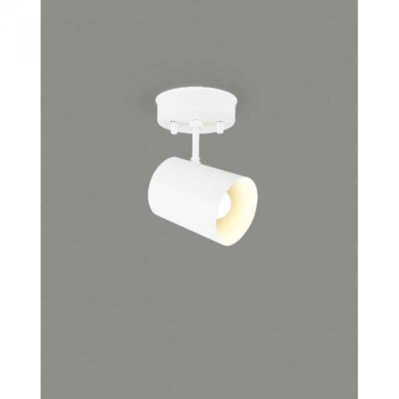 (受注生産品) LEDスポットライト(ランプ別売) LEDS88006F 東芝ライテック