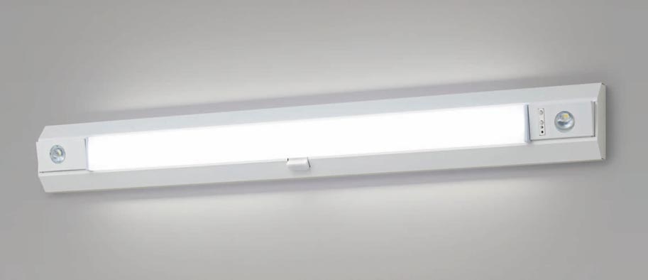 手配品) 天井直付型・壁直付型 LED (昼白色) 非常用ベースライト 階段  
