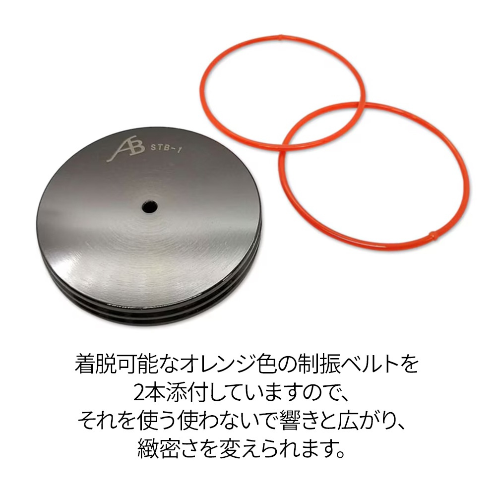 AIRBOW - CD3 3.0 Analogue�ʥ٥�ȥɥ饤��CD�ץ졼�䡼�˥����ӥ饤����STB1��°/Switch Leg�����