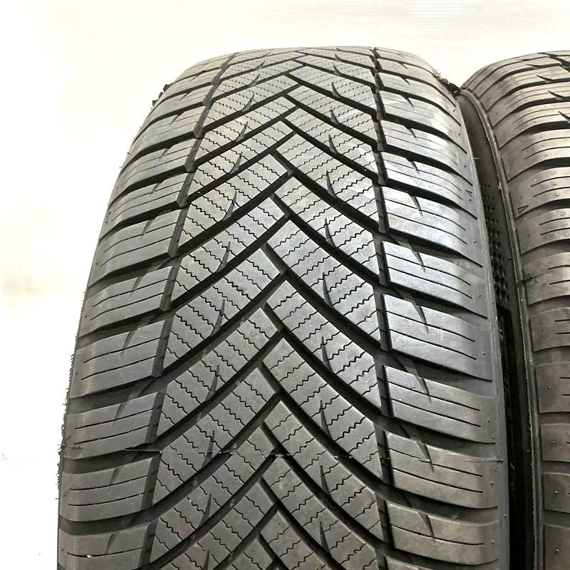 205/60R16 ミネルヴァオールシーズン マスター 2本セット<BR>2025年製