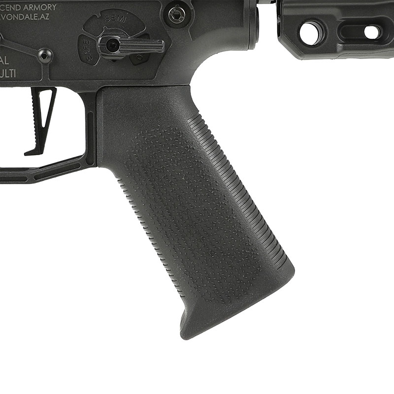 COLT/AR-15/ASGK社製エアーガン＆表裏2丁入るガンケース Double Eagle AR-15 Aeroknox×Ascend Armory Custom AEG (電子トリガー