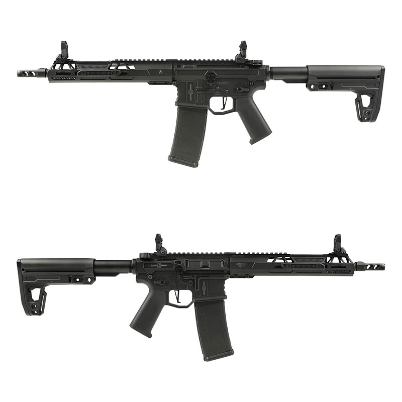 Double Eagle AR-15 Aeroknox×Ascend Armory Custom AEG (電子トリガー