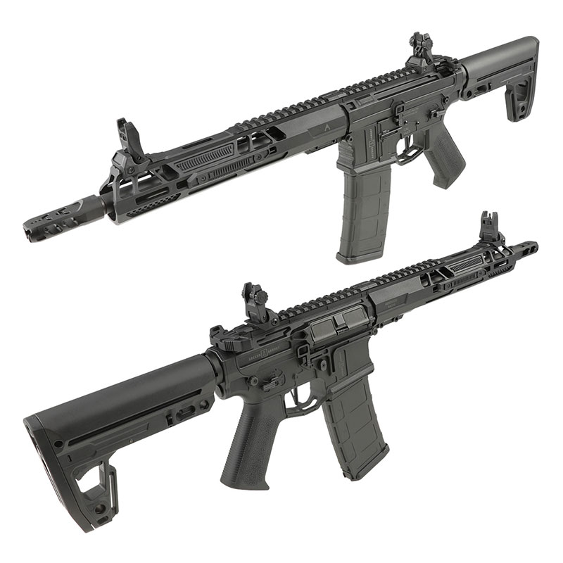 Double Eagle AR-15 Aeroknox×Ascend Armory Custom AEG (電子トリガー