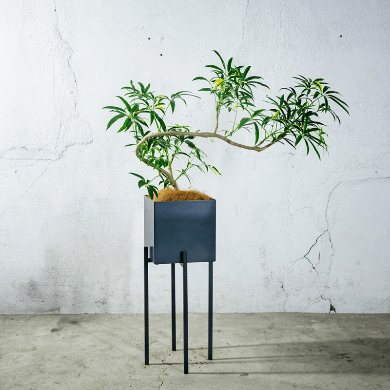 プランターカバー 250 スタンドセット