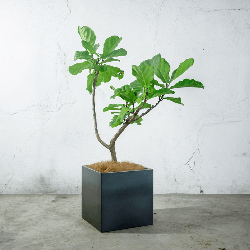 プランターカバー 400