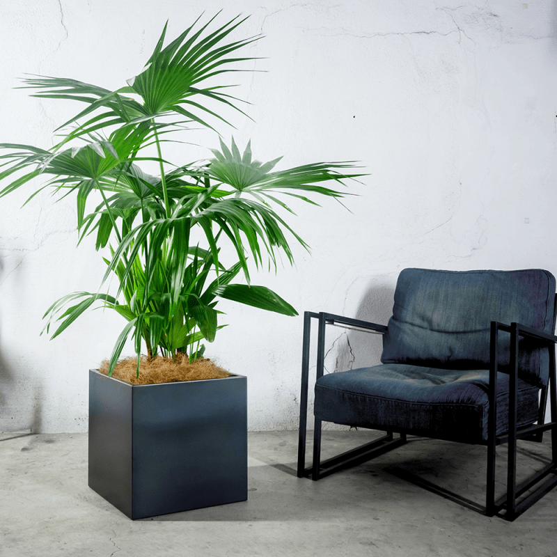 プランターカバー 400