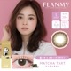 FLANMY(եߡ˥ǡ顼󥿥ȡ101Ȣۡڤ椦ѥåб350ߡۡƱԲġۡڥ󥿥Ѿʡ