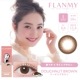 FLANMY(եߡ˥ǡ顼󥿥ȡ101Ȣۡڤ椦ѥåб350ߡۡƱԲġۡڥ󥿥Ѿʡ