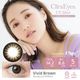 1day Cara Eyes UVMoisut Color Series�ʥ��ǡ�����饢��UV�⥤���ȥ��顼���꡼���ˡ�5�������1Ȣ�ۡʤ椦�ѥ��å��б����ʡˡ�1���Ȥ��Τƥ��󥿥��ȥ��