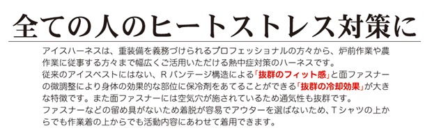 ��ѥ٥��� �������ϡ��ͥ� ��ǳ����ߥɥ����� �����6���դ����å� �뤵�к� Ǯ����к����å�