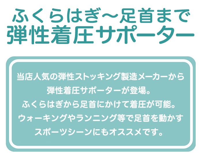 ���� �尵���ݡ����� 1­ �� �� �尵 ������̮���к� �य�߲�å��å� ����ͽ��