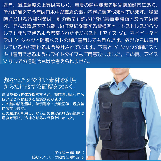 Ǯ����к����å� �������� �������ѥ٥��� ������V(�������֥�) �٥���ñ�� �˽����ѡڥ������٥��� ������٥��� ��Ĵ����