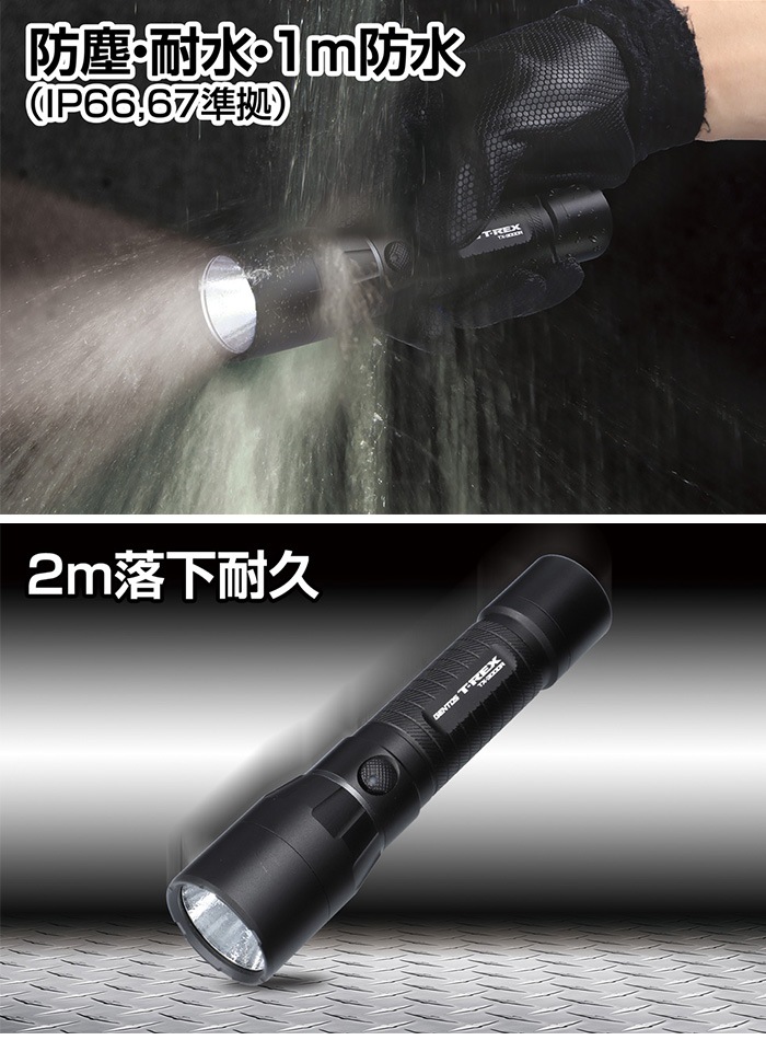 ������ȥ� LED�ϥ�ǥ��饤�� TX���꡼�� GENTOS TX-3000R  �ѿ� �ѿ� 1m�ɿ����