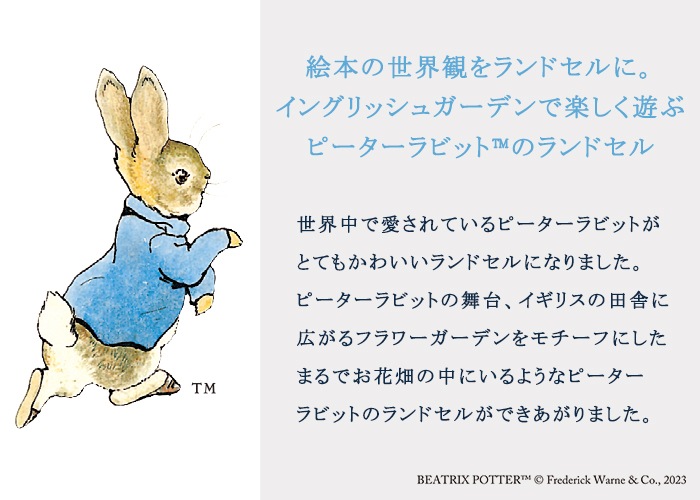 �ԡ�������ӥå�(TM) ���ɥ��� ���λ� �ե��åȤ���� �ե������ǥ� 1112 ����꡼�� ���� A4�ե�åȥե������б� 6ǯ̵���ݾ� 2�� ������/�����꡼(�ԥ�)