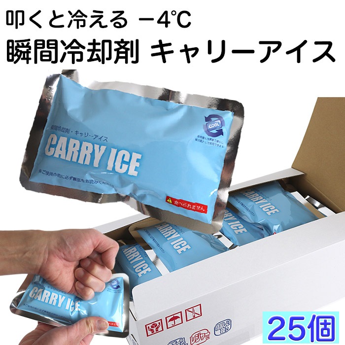Ǯ����к����å� �ִ���Ѻ� ����꡼������ CARRY ICE 25�ĥ��å� á�����䤨��ִ������ �����Ѳ�ǽ ������