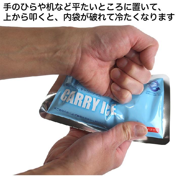Ǯ����к����å� �ִ���Ѻ� ����꡼������ CARRY ICE 25�ĥ��å� á�����䤨��ִ������ �����Ѳ�ǽ ������