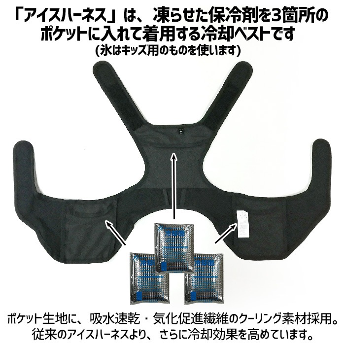 Ǯкå ѥ٥ ϡͥ ݡ ˥ 6դ ݡĤ䥿桼Ŭ 뤵к 10夫餤Τͤ