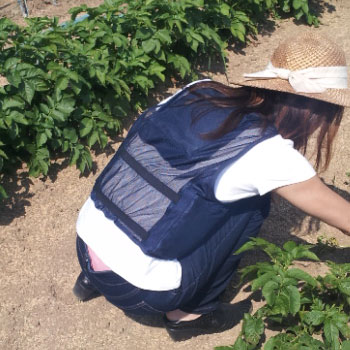 Ǯ����к����å� �������� �������ѥ٥��� ������V(�������֥�) �٥���ñ�� �˽����ѡڥ������٥��� ������٥��� ��Ĵ����