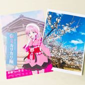 ־楤ʡ־աꥸʥ륯ꥢե