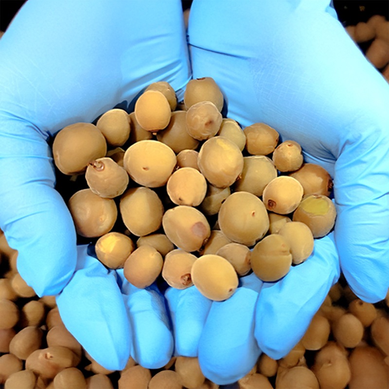 ڻϱץȡۤޤΤޤäѤ