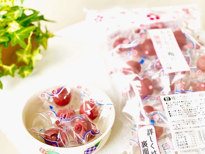 赤城フーズ 種とりカリカリ梅業務用 210g×8袋　熱中症対策 夏季限定-猛暑対策】種とりカリカリ梅210g（中国産梅使用） | 夏季限定