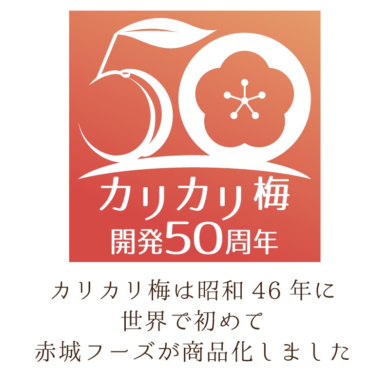 ̣2025ǯ1218꾦ʡ-Υꥫ125