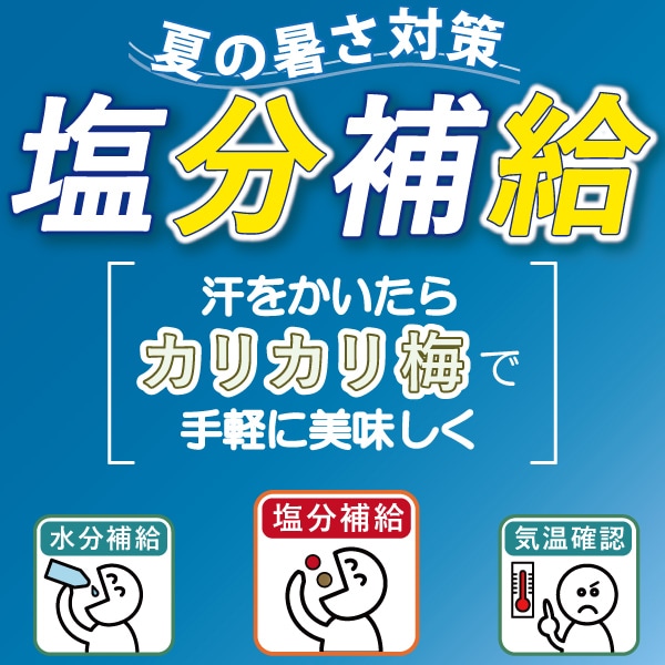 【夏季限定-猛暑対策】国産梅ごとく赤380g(塩味)