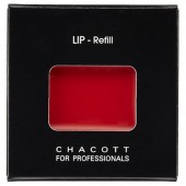 ڥ㥳åȡۡåץե롡ȡ߸˸¤