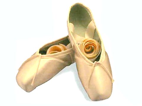 �ڥ��ӥ˥��ۥ��ӥ˥�󡡥ȥ�