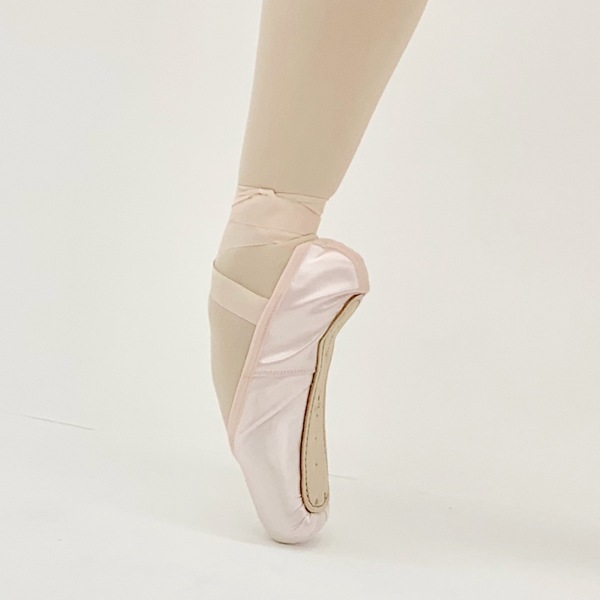 �ڥ��ӥ˥��ۥ��ӥ˥�󡡥ȥ�