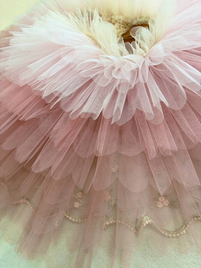 �ڥ��ȥꥨ�����󥸥��ۥ��ߥ������� �������ܥ󡡥��奨�롡�����󥸥�������������1~2�����Ǽ��