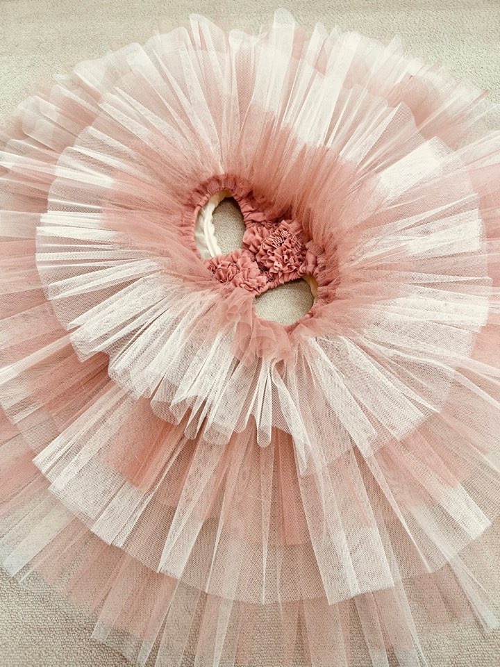 ڥȥꥨ 󥸥۴ ᥤɡܥ󡡼1~2Ǽ