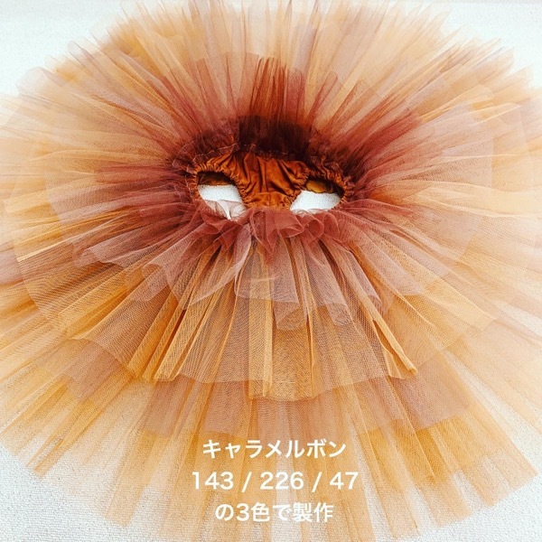 ڥȥꥨ 󥸥۴ ᥤɡܥ󡡼1~2Ǽ