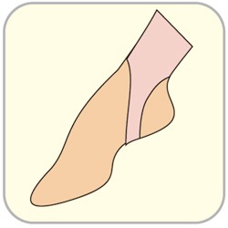 �ڥ���ӥ��ۥ˥塼���륭�������ġ����ƥ���åס�����ѡ�