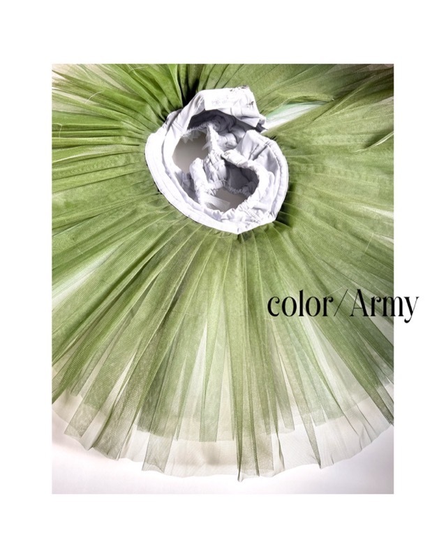 �ڥ��ȥꥨ �����󥸥��ۥ��ߥ������� �������ܥ󡡥顦�������åȡ������󥸥�������������1~2�����Ǽ��