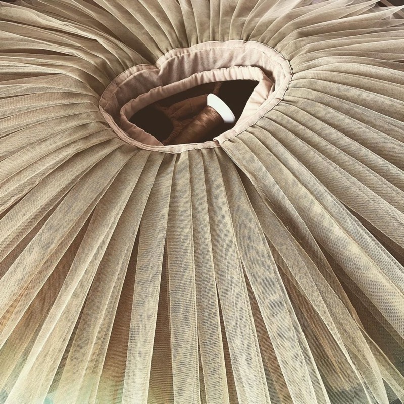 �ڥ��ȥꥨ �����󥸥��ۥ��ߥ������� �������ܥ󡡥顦�������åȡ������󥸥�������������1~2�����Ǽ��