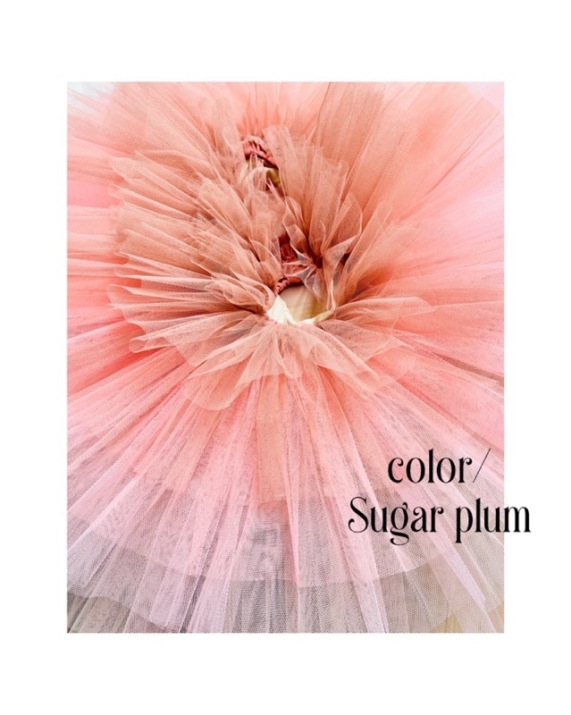 �ڥ��ȥꥨ �����󥸥��ۥ��ߥ������� �������ܥ󡡥顦�������åȡ������󥸥�������������1~2�����Ǽ��