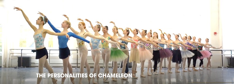 ڥ쥪 TORTUGA Mesh Tank  쥪 ƹĹ͡εץ ̸ꡡ߸˾