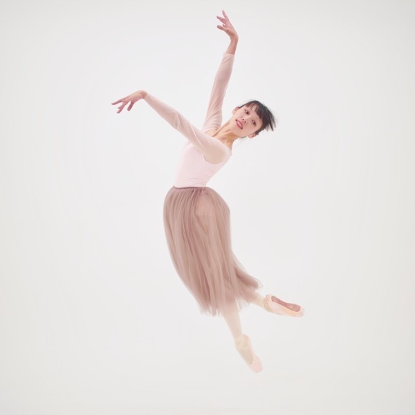 �ڥ��ȥꥨ �����󥸥��ۥ��ޥ���å��ܥ󡡥����꡼�����������ʡ�2�����Ǽ�ʡ�